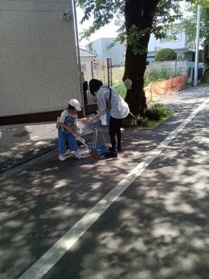桜並木清掃5月①.jpg