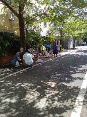 桜並木清掃5月②.jpg
