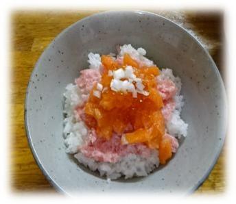 9月養護(1).jpg