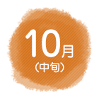 10月（中旬）